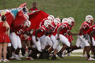 乐鱼体育下载-世界青少年庆典运动会精彩纷呈，青春无悔，2021年世界青年运动会在哪里举办